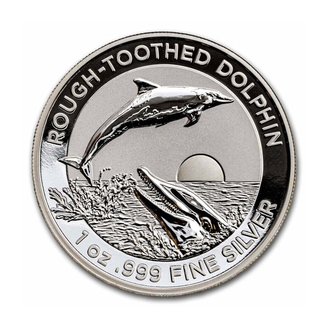 2023 Rough Toothed Dolphin $5 High Relief 1oz Silver Coin - PreOrder