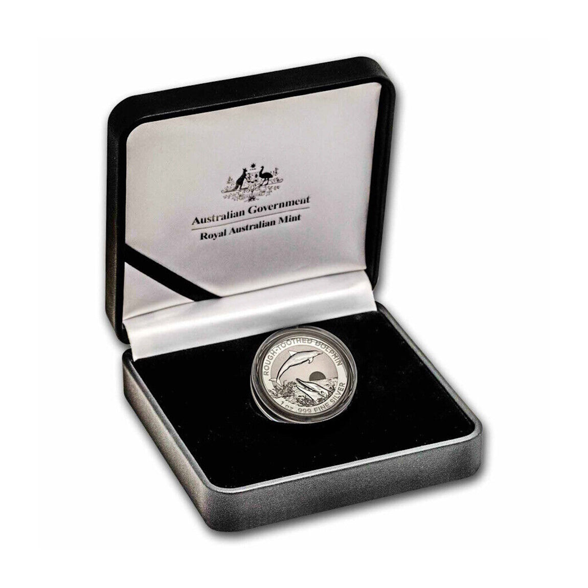 2023 Rough Toothed Dolphin $5 High Relief 1oz Silver Coin - PreOrder