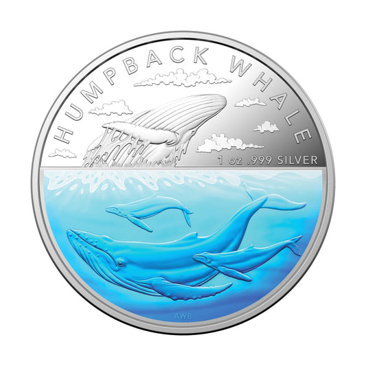 2023 Humpback Whale $5 1oz Coloured Silver Proof Coin