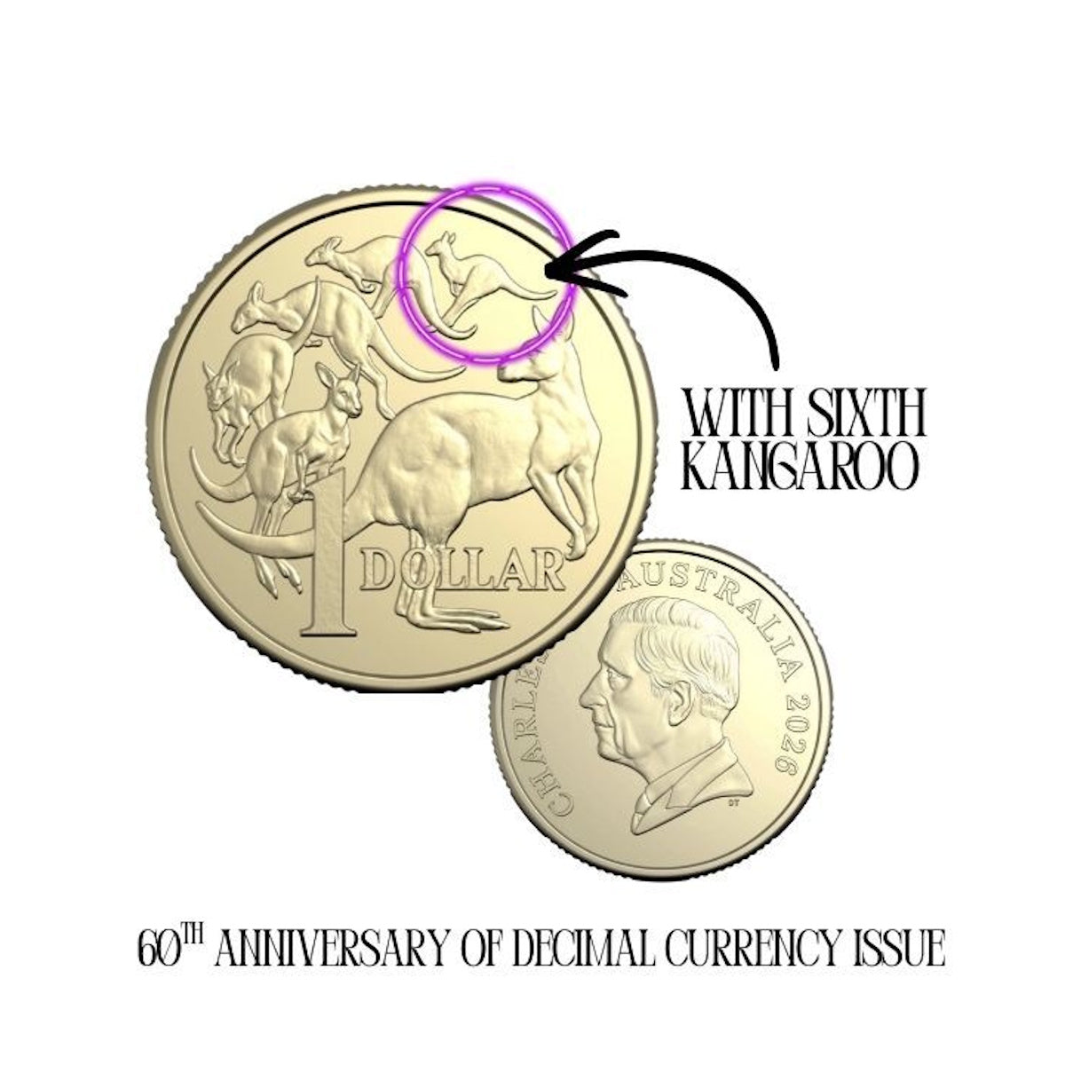 2026 Premium Ram Rolled Coin Set - With 6th Kangaroo